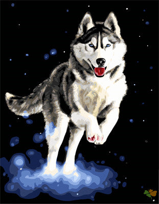 Cat & Dog Paint By Numbers Kits UK GX21876
