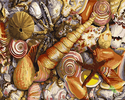Still Life Paint By Numbers Kits UK GX21966