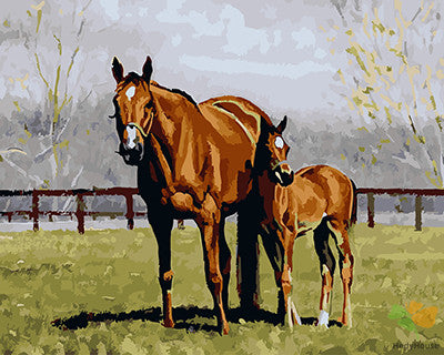 Animal Paint By Numbers Kits UK GX22244