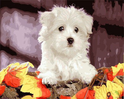Cat & Dog Paint By Numbers Kits UK GX22338