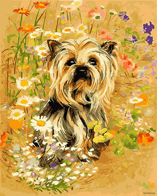 Cat & Dog Paint By Numbers Kits UK GX22609