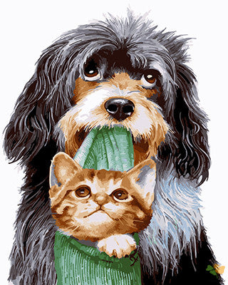 Cat & Dog Paint By Numbers Kits UK GX22611