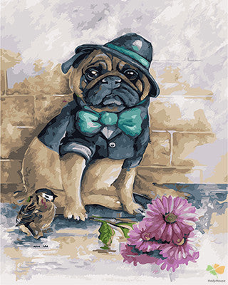 Cat & Dog Paint By Numbers Kits UK GX22666