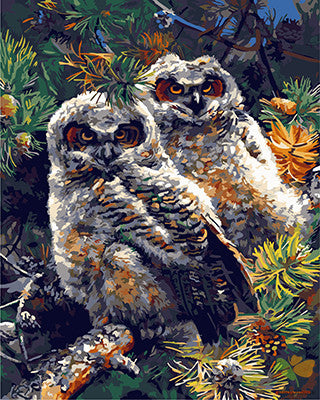 Animal Paint By Numbers Kits UK GX22708