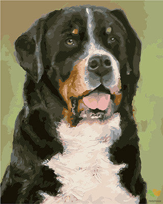 Cat & Dog Paint By Numbers Kits UK GX22730