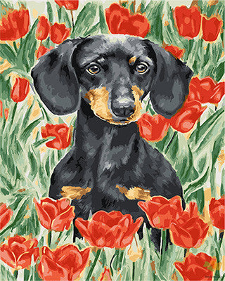 Cat & Dog Paint By Numbers Kits UK GX22756