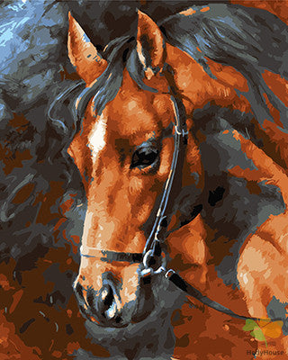 Animal Paint By Numbers Kits UK GX22796
