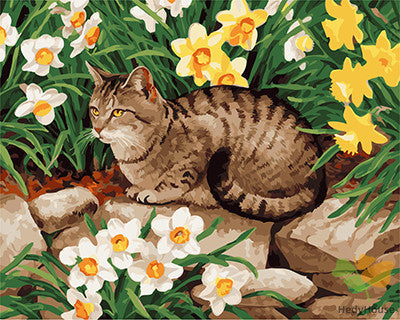 Cat & Dog Paint By Numbers Kits UK GX22851