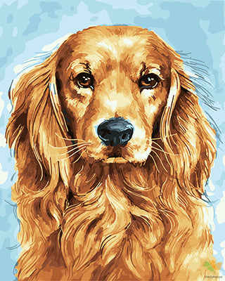 Cat & Dog Paint By Numbers Kits UK GX22904