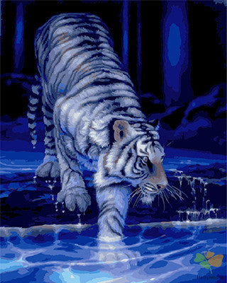 Animal Paint By Numbers Kits UK GX22913