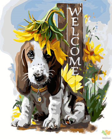Cat & Dog Paint By Numbers Kits UK GX22919