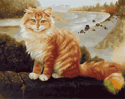 Cat & Dog Paint By Numbers Kits UK GX22982