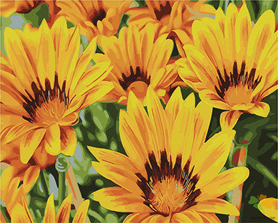 Flower Paint By Numbers Kits UK GX22987
