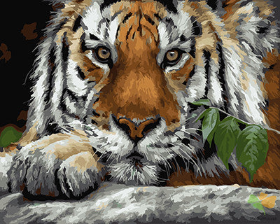 Animal Paint By Numbers Kits UK GX23092