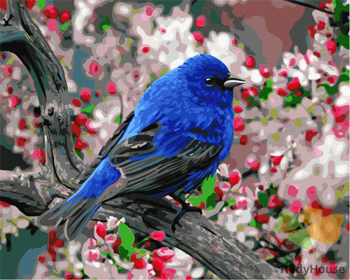 Birds Paint By Numbers Kits UK GX23193