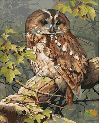 Animal Paint By Numbers Kits UK GX23207