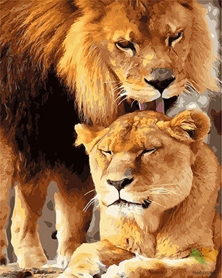 Animal Paint By Numbers Kits UK GX23217