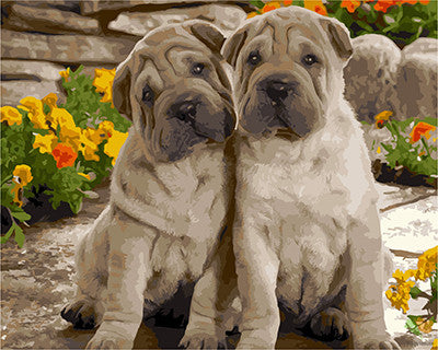 Cat & Dog Paint By Numbers Kits UK GX23223