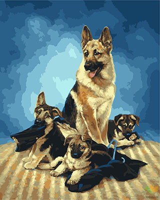 Cat & Dog Paint By Numbers Kits UK GX23534