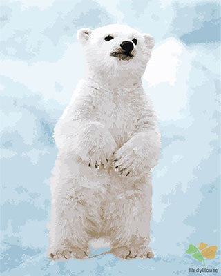 Animal Paint By Numbers Kits UK GX23585