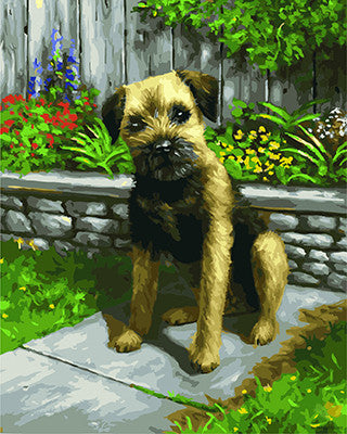 Cat & Dog Paint By Numbers Kits UK GX23621