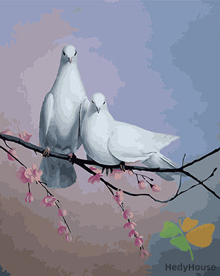 Birds Paint By Numbers Kits UK GX23623