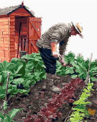 Portrait Paint By Numbers Kits UK GX23674