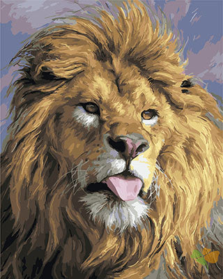 Animal Paint By Numbers Kits UK GX23676