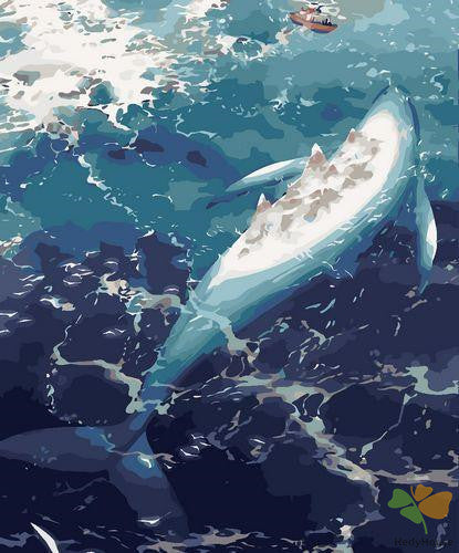 Animal Paint By Numbers Kits UK GX2369