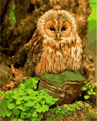 Animal Paint By Numbers Kits UK GX23761