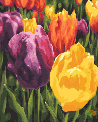 Flower Paint By Numbers Kits UK GX23769