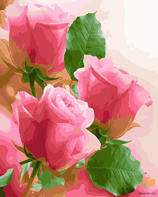 Flower Paint By Numbers Kits UK GX23781