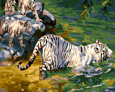 Animal Paint By Numbers Kits UK GX23997