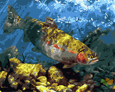 Animal Paint By Numbers Kits UK GX23999