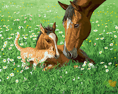 Animal Paint By Numbers Kits UK GX24179