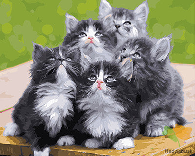 Cat & Dog Paint By Numbers Kits UK GX24592