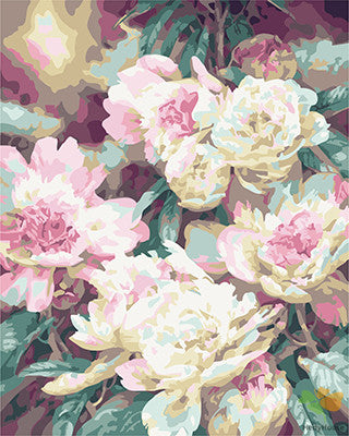 Flower Paint By Numbers Kits UK GX24606