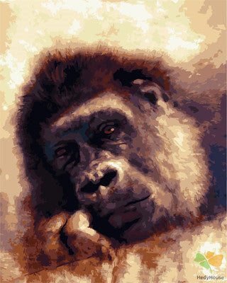 Animal Paint By Numbers Kits UK GX24695