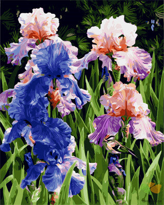 Flower Paint By Numbers Kits UK GX24699