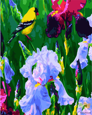 Flower Paint By Numbers Kits UK GX24705