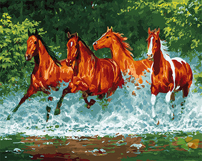 Animal Paint By Numbers Kits UK GX24774