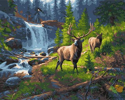 Animal Paint By Numbers Kits UK GX24778