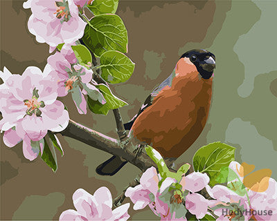 Birds Paint By Numbers Kits UK GX24795