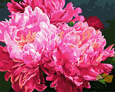Flower Paint By Numbers Kits UK GX25088