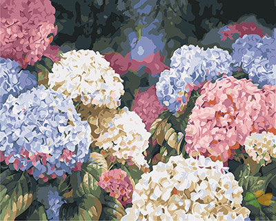 Flower Paint By Numbers Kits UK GX25162