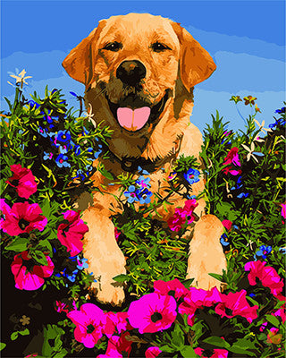 Cat & Dog Paint By Numbers Kits UK GX25185
