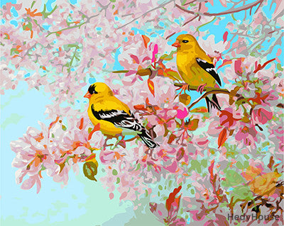 Birds Paint By Numbers Kits UK GX25293