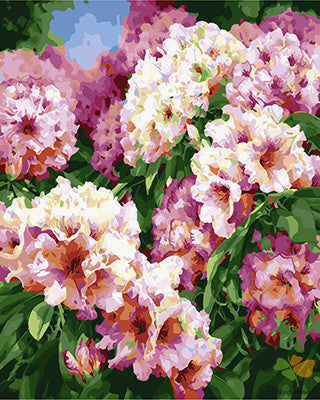 Flower Paint By Numbers Kits UK GX25469