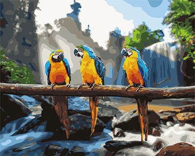 Birds Paint By Numbers Kits UK GX25500