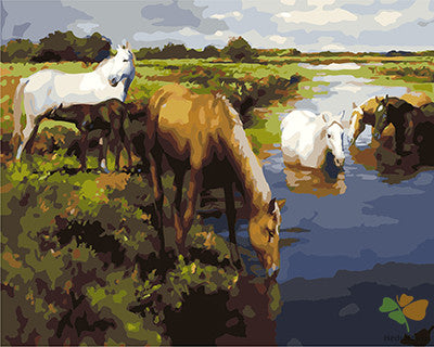 Animal Paint By Numbers Kits UK GX25605